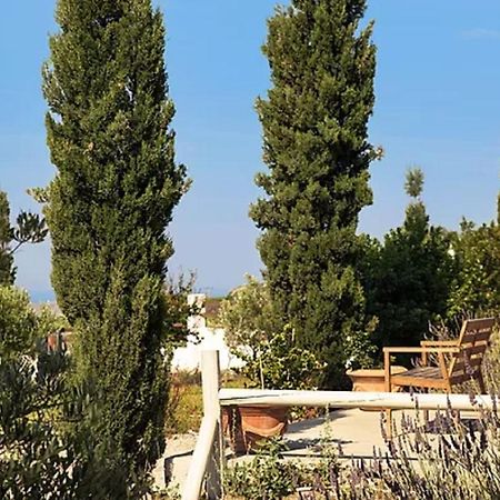 Christou Estate & Villas Pýrgos Exteriör bild